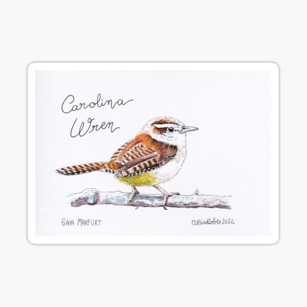 Item preview, Carolina Wren designed and sold by Gaia Marfurt.