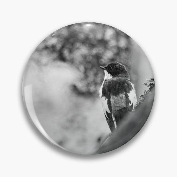 Item preview, Grayback. European pied flycatcher bw designed and sold by Jouko Lehto Photography.