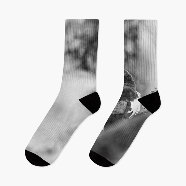 Item preview, Grayback. European pied flycatcher bw designed and sold by Jouko Lehto Photography.