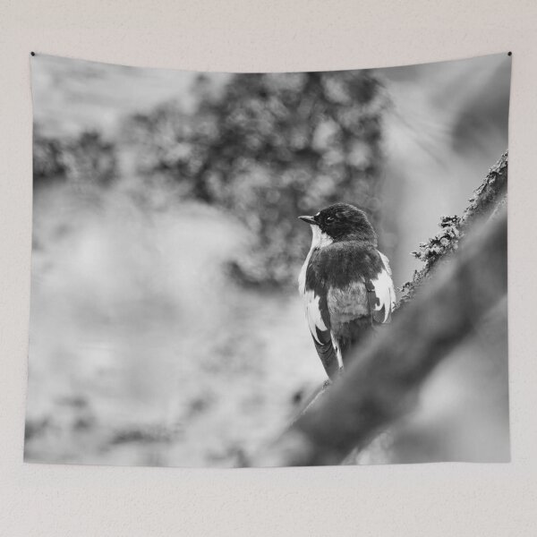 Item preview, Grayback. European pied flycatcher bw designed and sold by Jouko Lehto Photography.