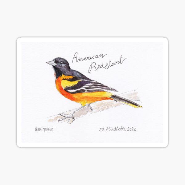 Item preview, American Redstart  designed and sold by Gaia Marfurt.