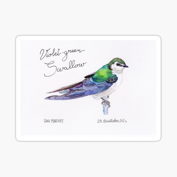 Item preview, Violet-green Swallow designed and sold by Gaia Marfurt.