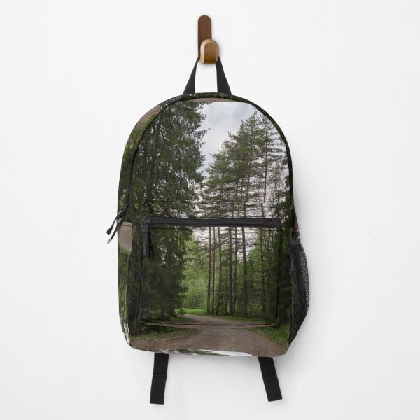 Item preview, The road in the forest. Parkkuu 2025 designed and sold by Jouko Lehto Photography.