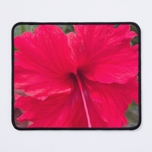 Item preview, Cancun Flower designed and sold by NNDesigns2025.