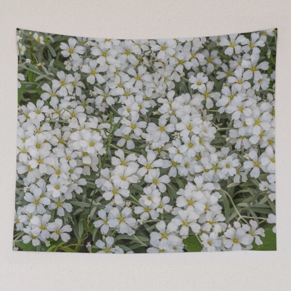 Item preview, Bed of Small White Flowers in Springtime designed and sold by Jon Shore.