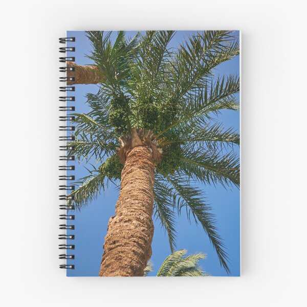 Item preview, date palm growing against blue sky designed and sold by IgorKovalenko.