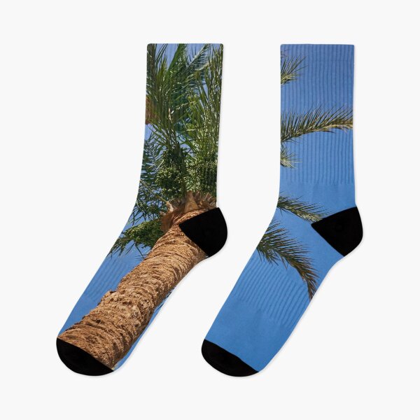 Item preview, date palm growing against blue sky designed and sold by IgorKovalenko.