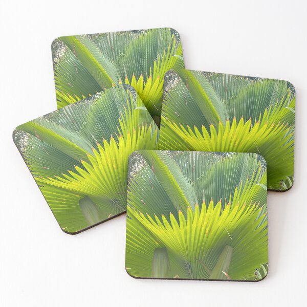 Item preview, Palm Frawns outside our resort hotel room in Cancun designed and sold by NNDesigns2025.