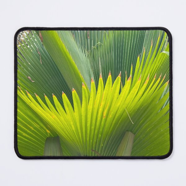 Item preview, Palm Frawns outside our resort hotel room in Cancun designed and sold by NNDesigns2025.