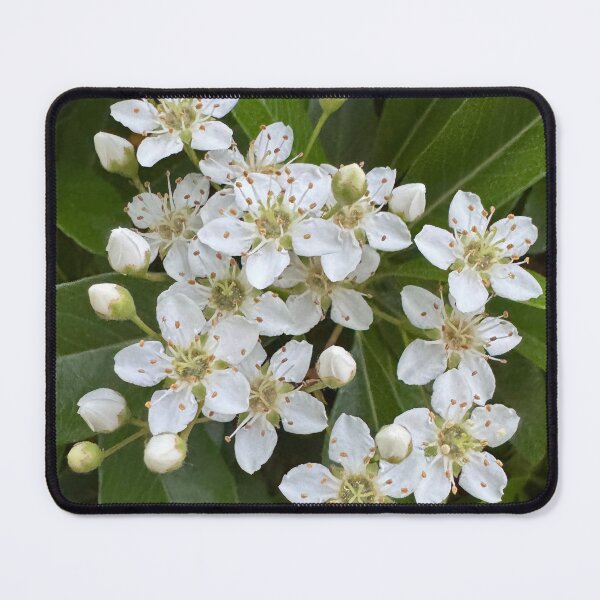 Item preview, Small white flowers  designed and sold by Rhiwii.