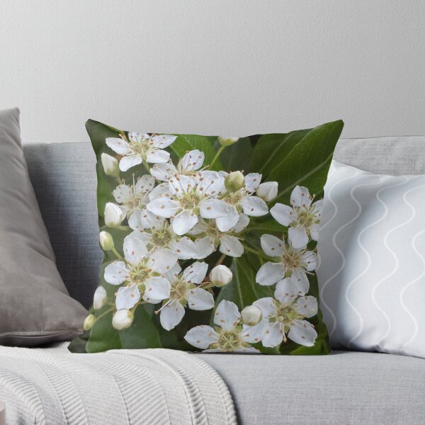 Item preview, Small white flowers  designed and sold by Rhiwii.