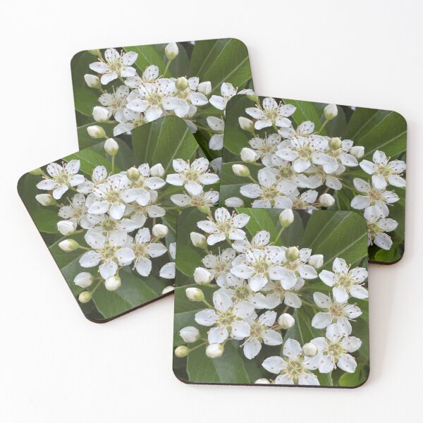 Item preview, Small white flowers  designed and sold by Rhiwii.