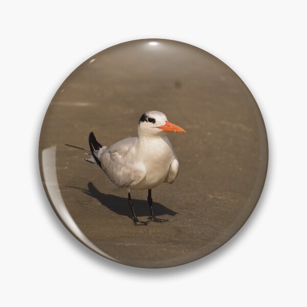 Item preview, Royal Tern designed and sold by litnaturalists.
