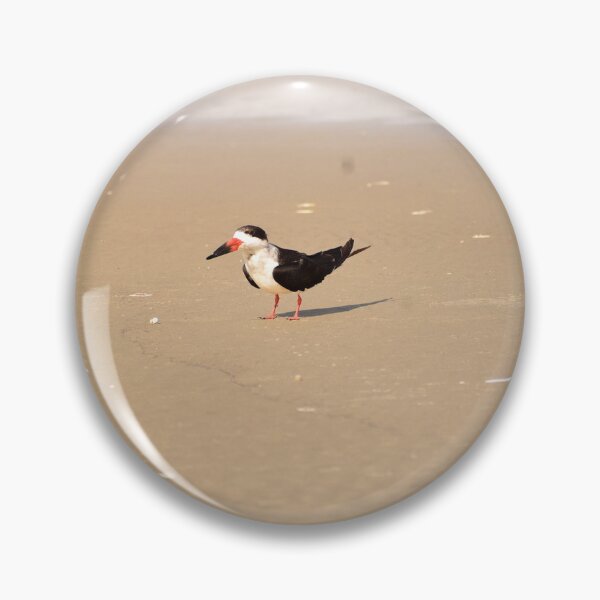 Item preview, Black Skimmer designed and sold by litnaturalists.