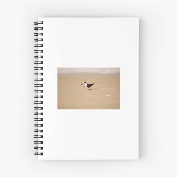 Item preview, Black Skimmer designed and sold by litnaturalists.
