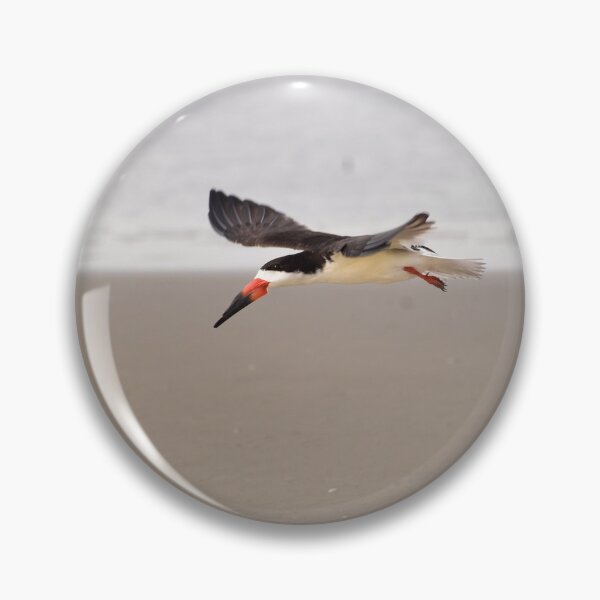 Item preview, Black Skimmer designed and sold by litnaturalists.