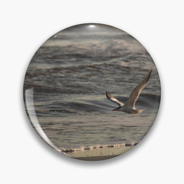 Item preview, Royal Tern designed and sold by litnaturalists.