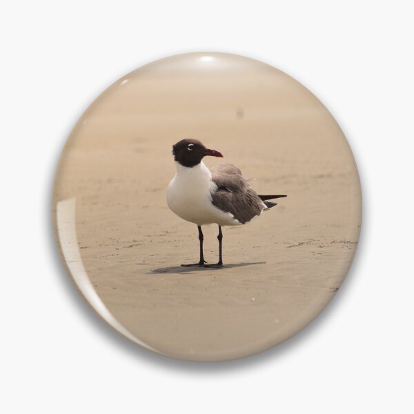 Item preview, Laughing Gull designed and sold by litnaturalists.