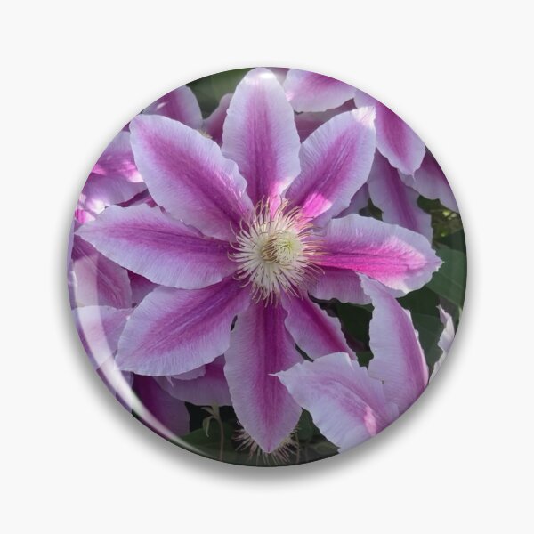 Item preview, Purple Clematis designed and sold by Amanda1775.