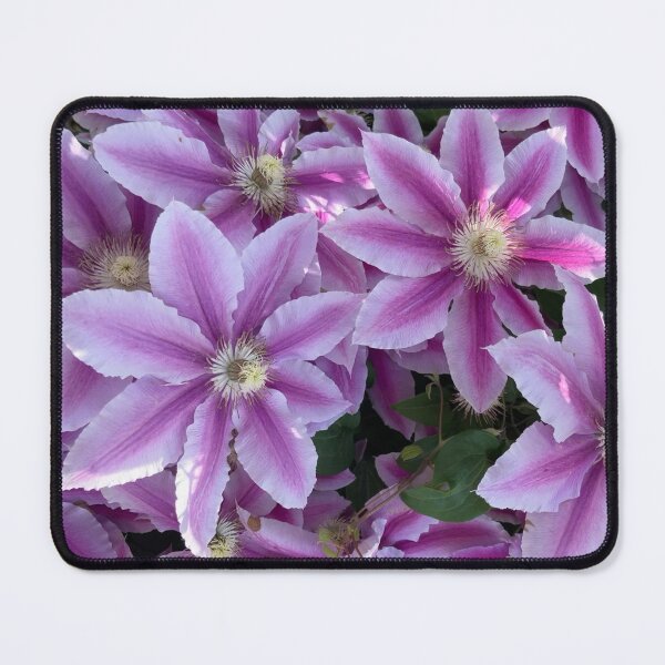 Item preview, Purple Clematis designed and sold by Amanda1775.