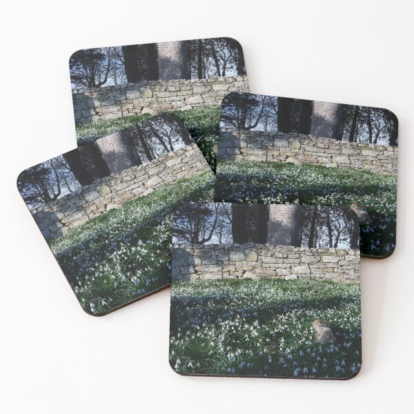 Item preview, Robin and Snowdrops designed and sold by Tom McPherson Photography.