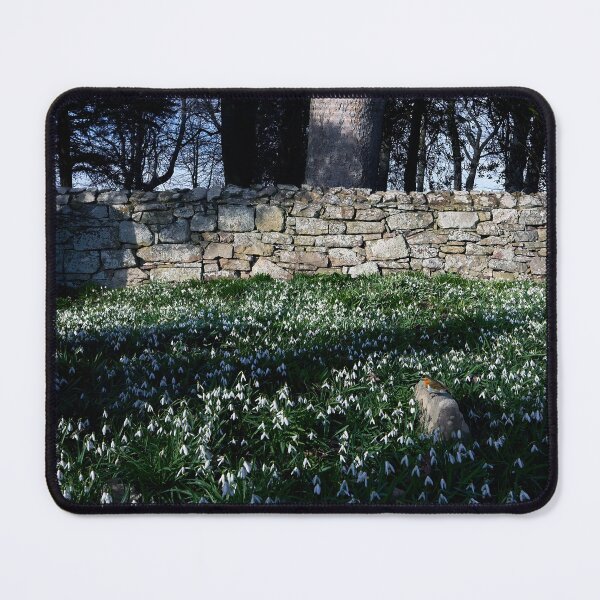 Item preview, Robin and Snowdrops designed and sold by Tom McPherson Photography.