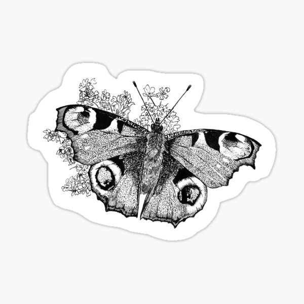 Peacock Butterfly Ink Drawing Sticker