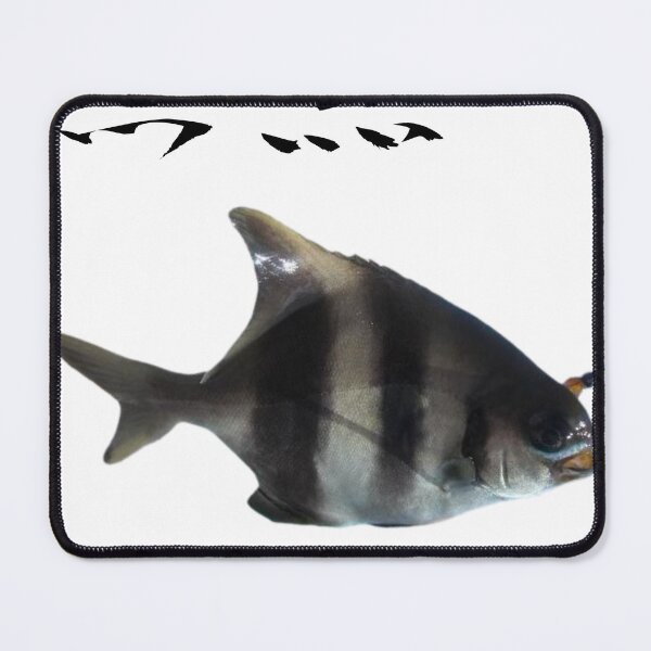 Item preview, 008 - Batfish designed and sold by taichi69nz.