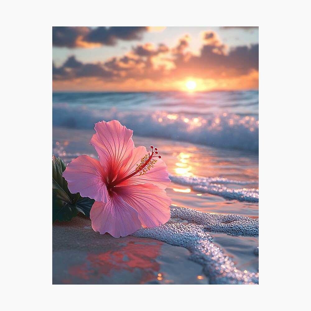 Hibiscus Beach Poster