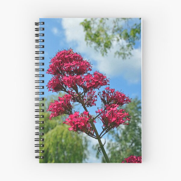 Item preview, Red Valerian (Artistic finish) designed and sold by Frank  Irwin.