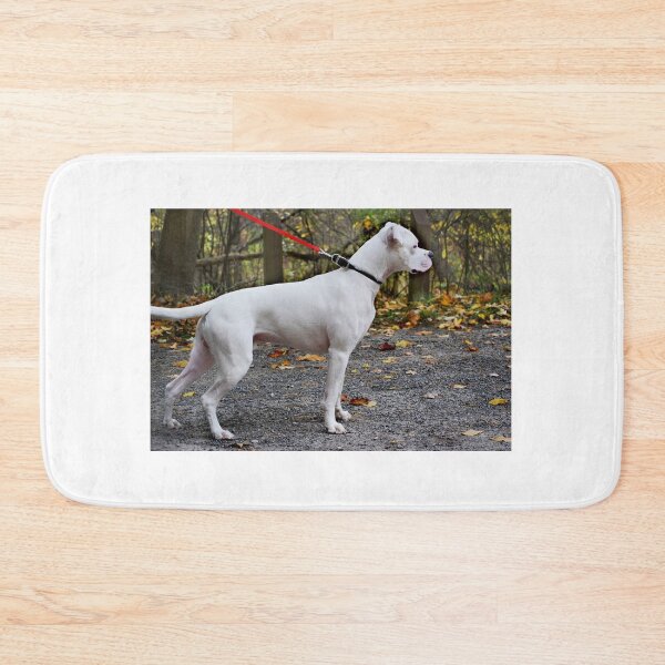 Item preview, Sloan - about a year old designed and sold by Laurie Minor.