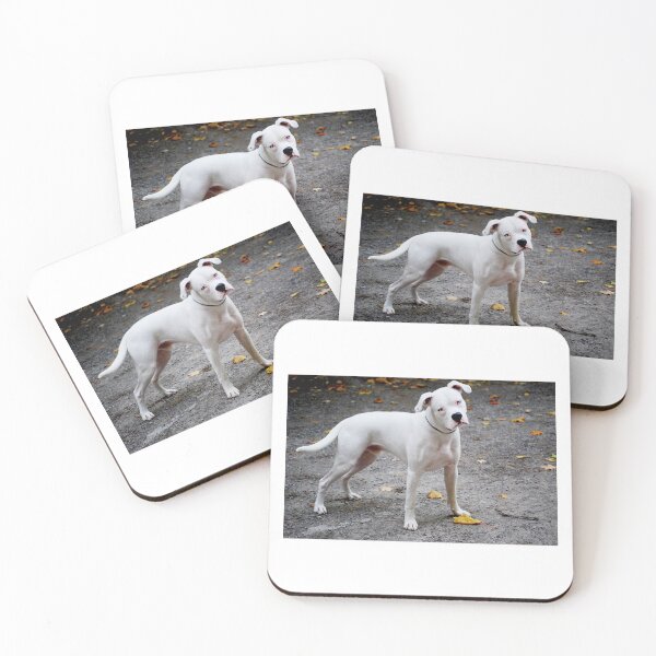 Item preview, Sloan - expressive young dog, great stance designed and sold by Laurie Minor.