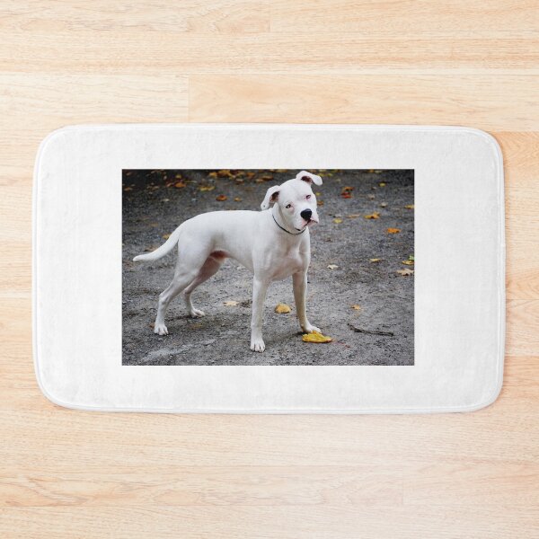 Item preview, Sloan - expressive young dog, great stance designed and sold by Laurie Minor.