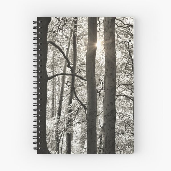Item preview, Sunlight Treescape designed and sold by Rachel J Bowler.