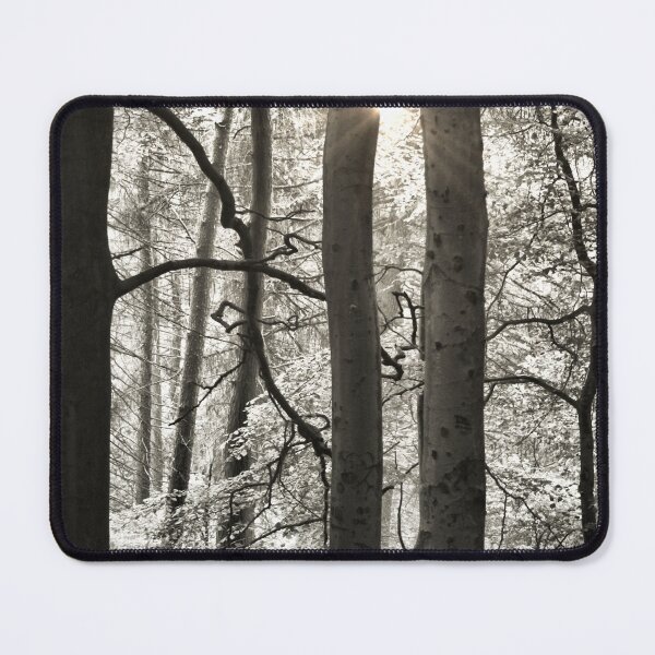 Item preview, Sunlight Treescape designed and sold by Rachel J Bowler.