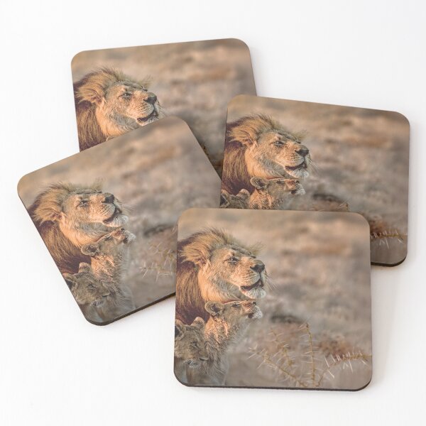 Item preview, Like Father, Like Son, Three Lions In Botswana designed and sold by Kay Brewer.