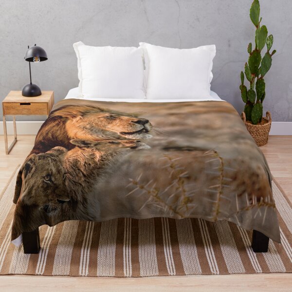 Item preview, Like Father, Like Son, Three Lions In Botswana designed and sold by Kay Brewer.