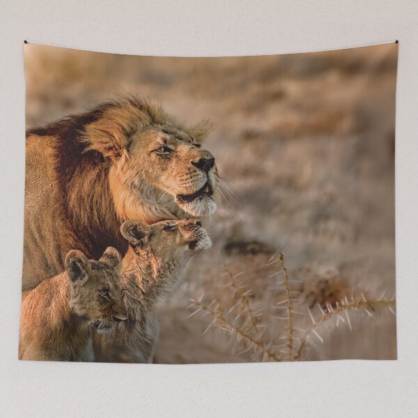 Item preview, Like Father, Like Son, Three Lions In Botswana designed and sold by Kay Brewer.