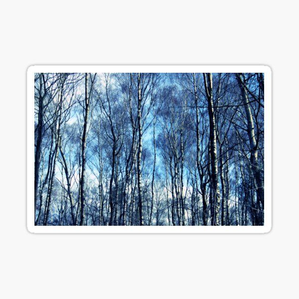 Item preview, Trees in Winter designed and sold by Rachel J Bowler.