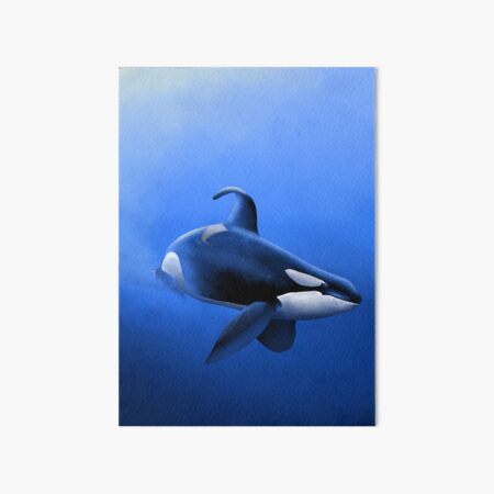 Item preview, Orca | Ulisses designed and sold by SinaWilson.