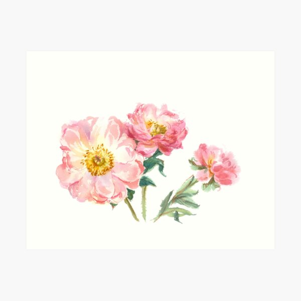 Item preview, pink peonies designed and sold by avamnenado.