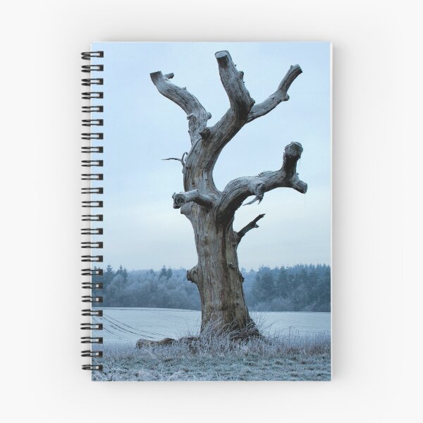 Aperçu de l'œuvre Arbre en hiver créée et vendue par Rachel J Bowler.