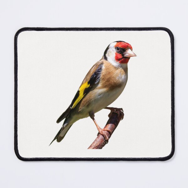 Item preview, yellow finch designed and sold by lino4king.
