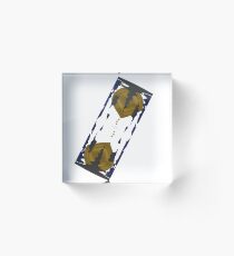 Time Acrylic Block