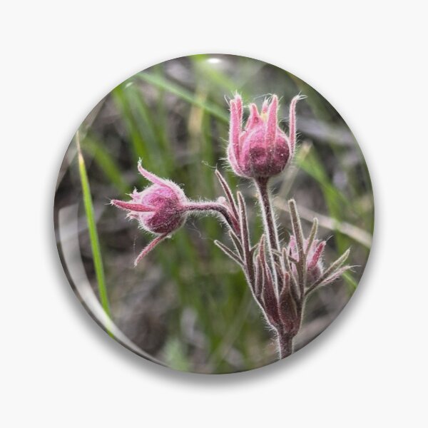 Item preview, Colorado Mountains Prairie Smoke  designed and sold by NorwegianRoadCreations.