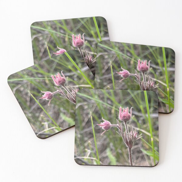 Item preview, Colorado Mountains Prairie Smoke  designed and sold by NorwegianRoadCreations.