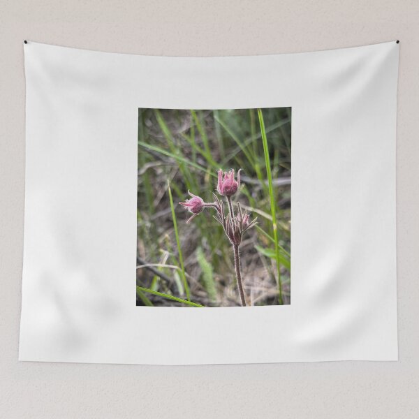 Item preview, Colorado Mountains Prairie Smoke  designed and sold by NorwegianRoadCreations.