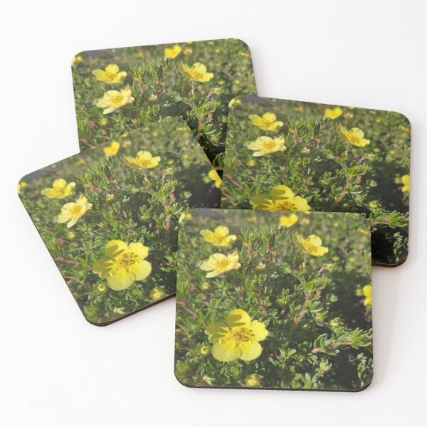 Item preview, Shrubby Cinquefoil designed and sold by Betsy Phillips.
