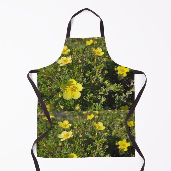 Item preview, Shrubby Cinquefoil designed and sold by Betsy Phillips.