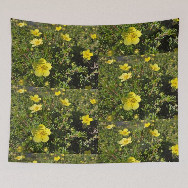 Item preview, Shrubby Cinquefoil designed and sold by Betsy Phillips.